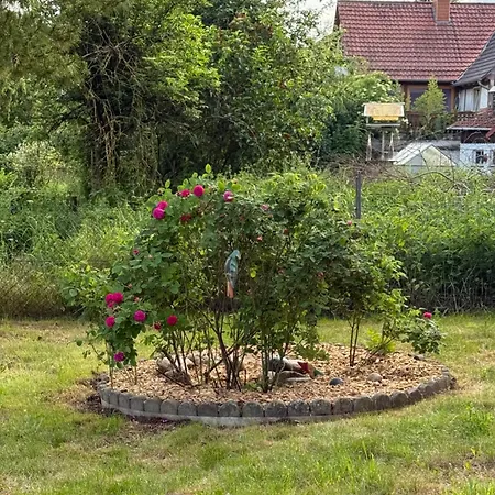 Lejlighed Gemuetlichkeit Im Fachwerkhaus, 3 Schlafzimmer, Balkon, Parkplatz - W2 *